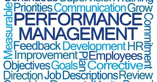 How Management Can Affect an Organisation’s Performance